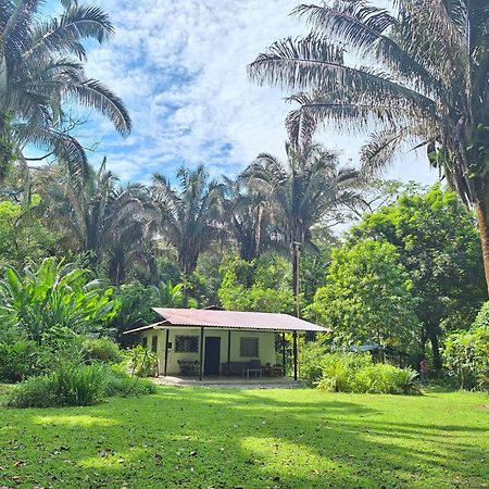Four Monkeys Eco Lodge Jungle & Beach - The House Cabo Matapalo Bagian luar foto