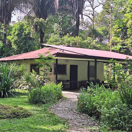 Four Monkeys Eco Lodge Jungle & Beach - The House Cabo Matapalo Bagian luar foto