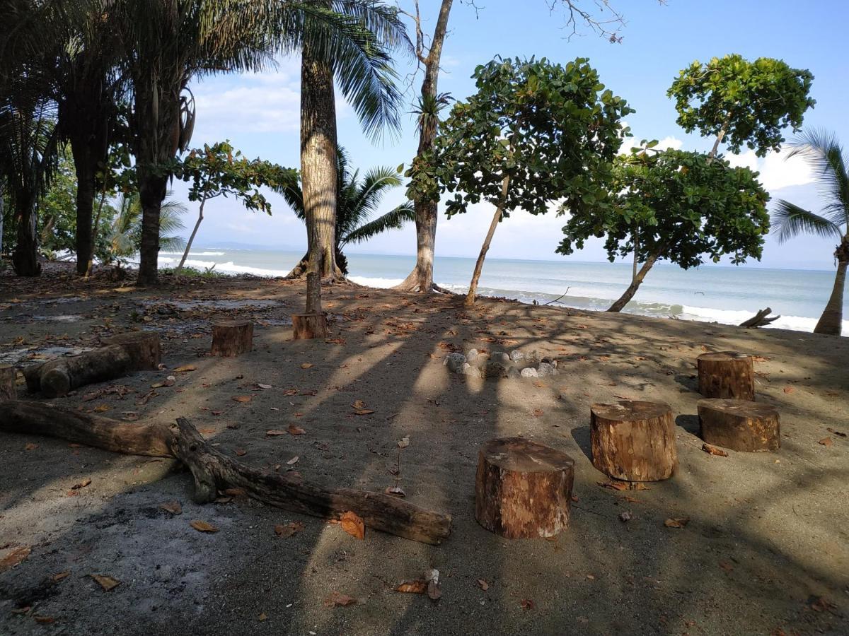 Four Monkeys Eco Lodge Jungle & Beach - The House Cabo Matapalo Bagian luar foto
