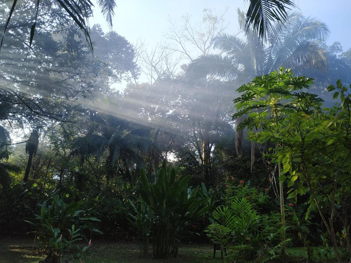 Four Monkeys Eco Lodge Jungle & Beach - The House Cabo Matapalo Bagian luar foto