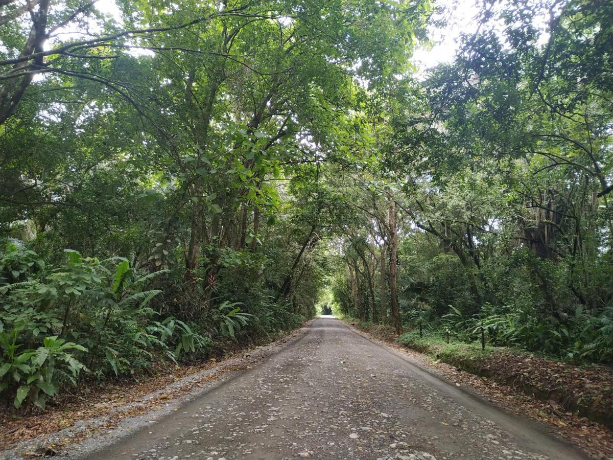 Four Monkeys Eco Lodge Jungle & Beach - The House Cabo Matapalo Bagian luar foto