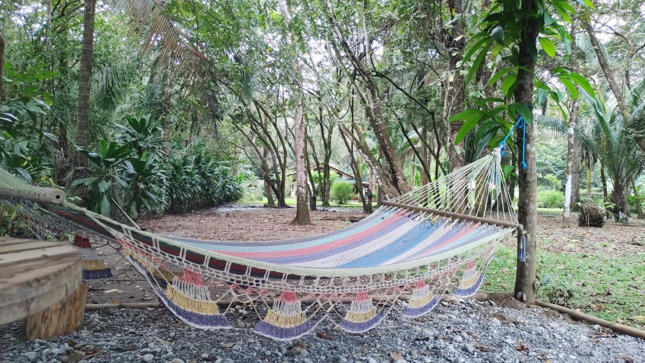 Four Monkeys Eco Lodge Jungle & Beach - The House Cabo Matapalo Bagian luar foto