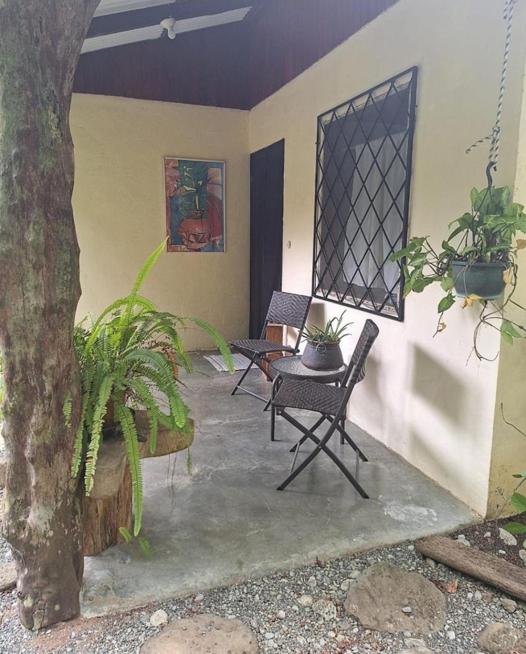 Four Monkeys Eco Lodge Jungle & Beach - The House Cabo Matapalo Bagian luar foto