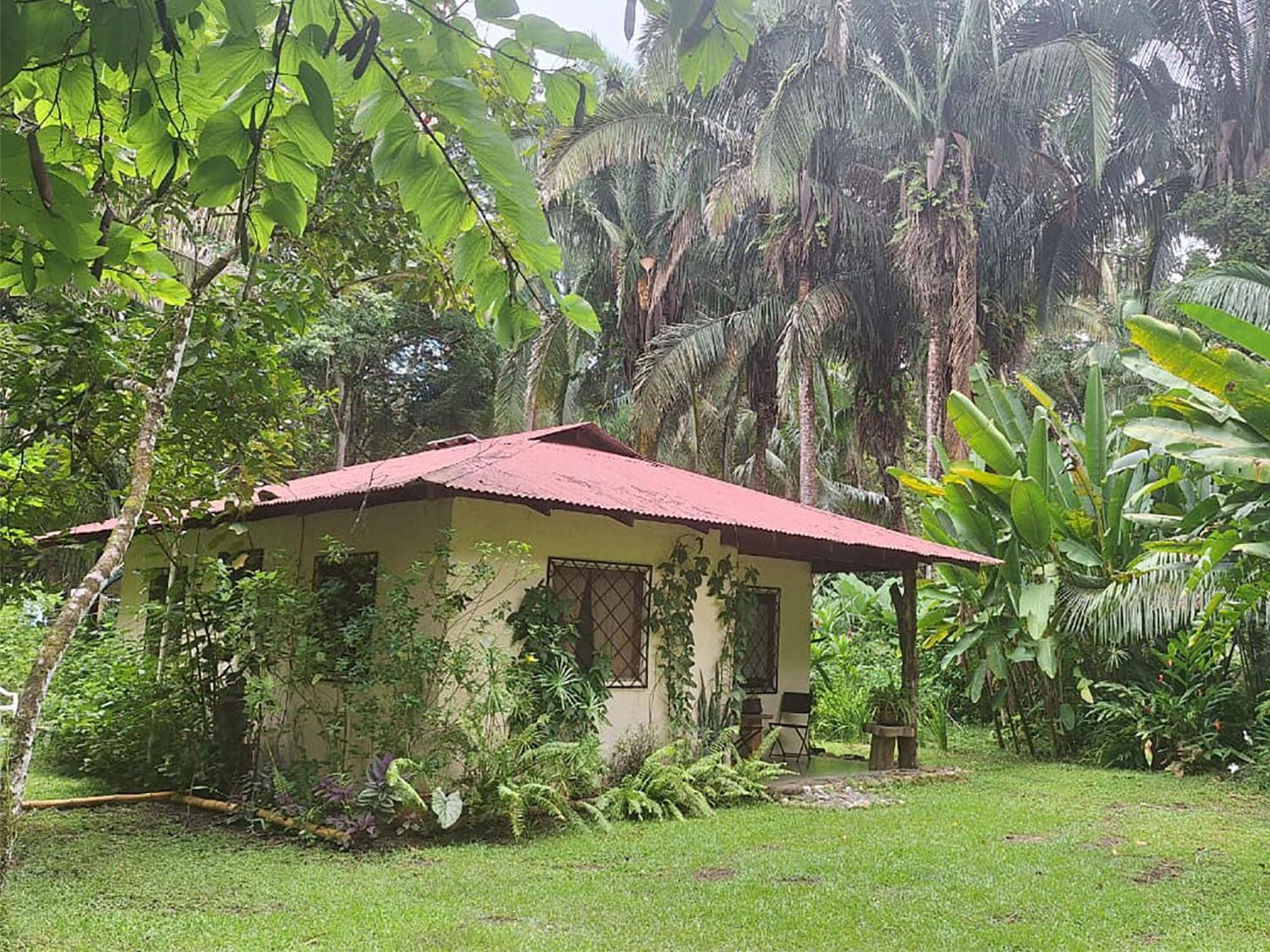 Four Monkeys Eco Lodge Jungle & Beach - The House Cabo Matapalo Bagian luar foto