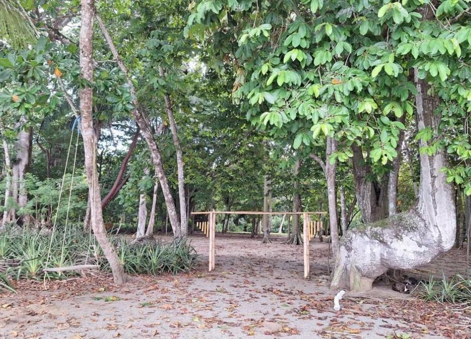 Four Monkeys Eco Lodge Jungle & Beach - The House Cabo Matapalo Bagian luar foto