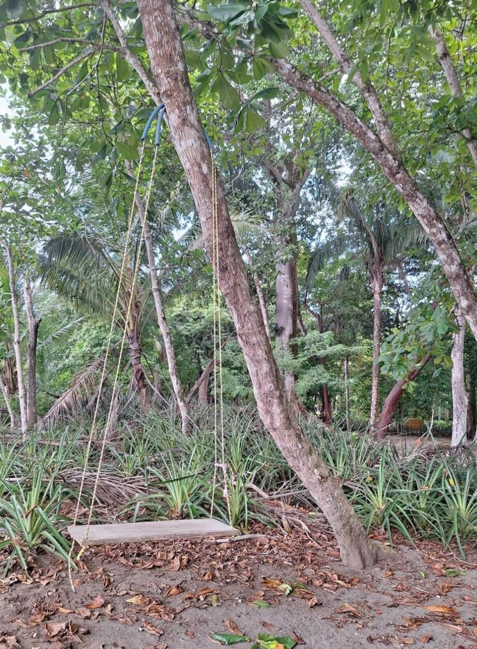 Four Monkeys Eco Lodge Jungle & Beach - The House Cabo Matapalo Bagian luar foto