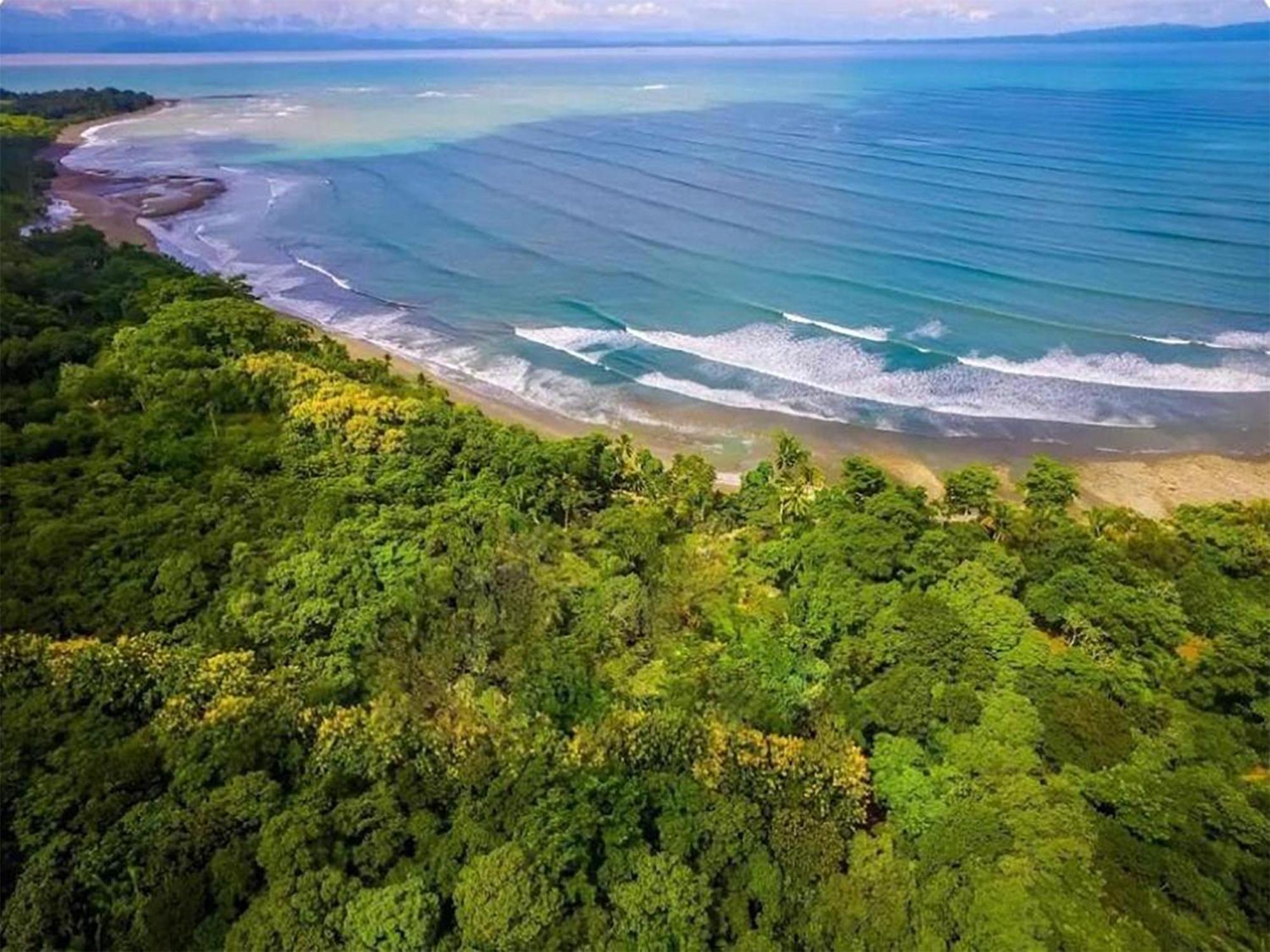 Four Monkeys Eco Lodge Jungle & Beach - The House Cabo Matapalo Bagian luar foto