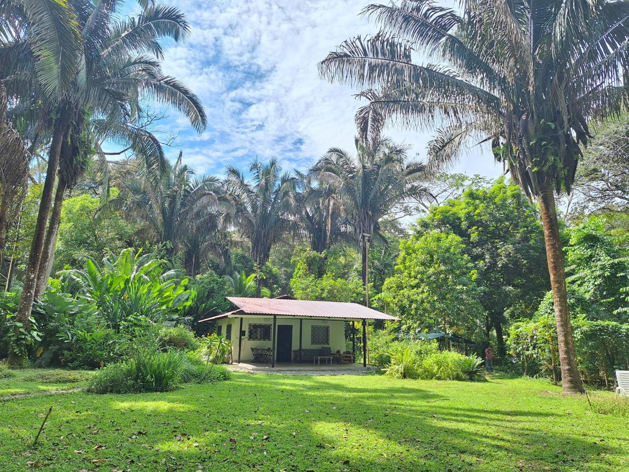 Four Monkeys Eco Lodge Jungle & Beach - The House Cabo Matapalo Bagian luar foto