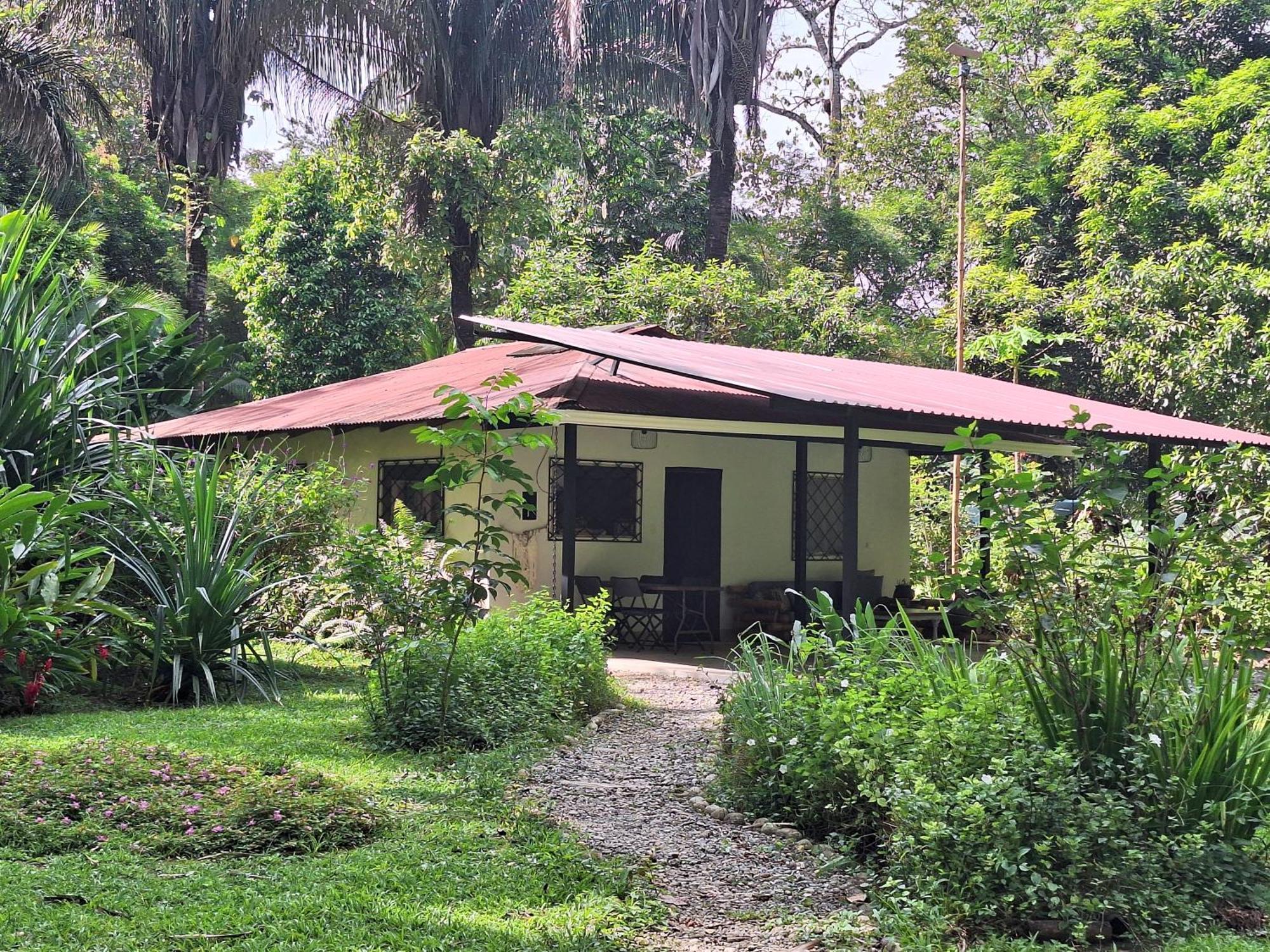 Four Monkeys Eco Lodge Jungle & Beach - The House Cabo Matapalo Bagian luar foto