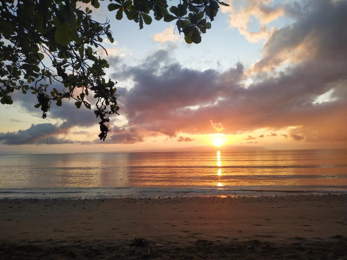 Four Monkeys Eco Lodge Jungle & Beach - The House Cabo Matapalo Bagian luar foto